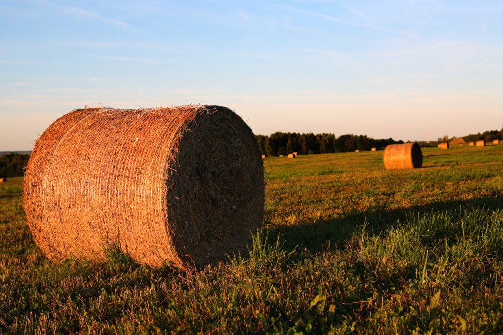 Agricultural Bankruptcy Attorney